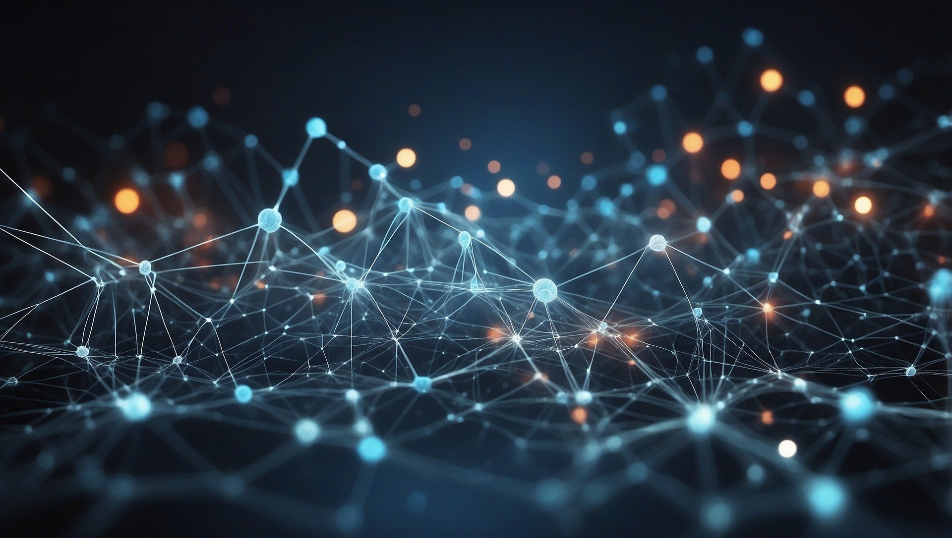 network-kg-international-trading